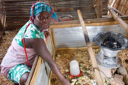 [ PUBLI-REPORTAGE] – Prisca Zannou, un modèle de réussite en élevage de caille